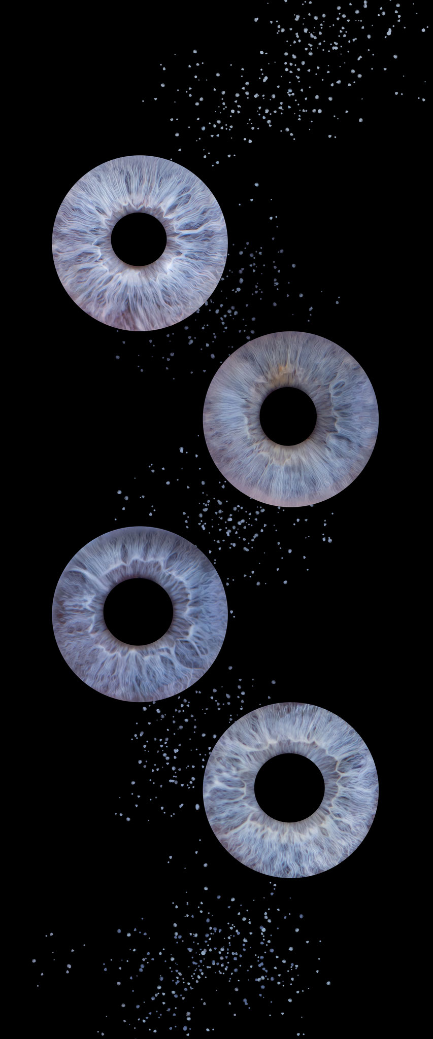 Irisfoto