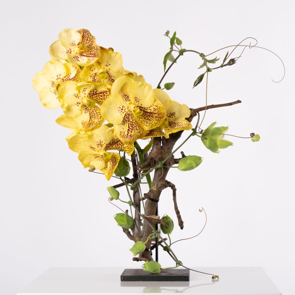 Productfotografie